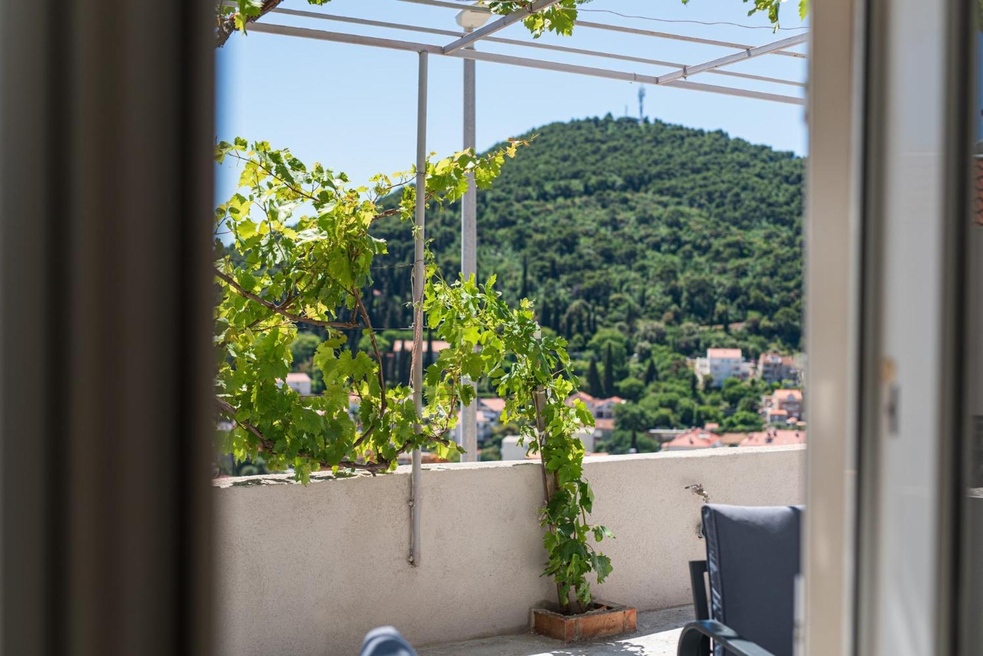 Guesthouse Niko Dubrovník Exteriér fotografie
